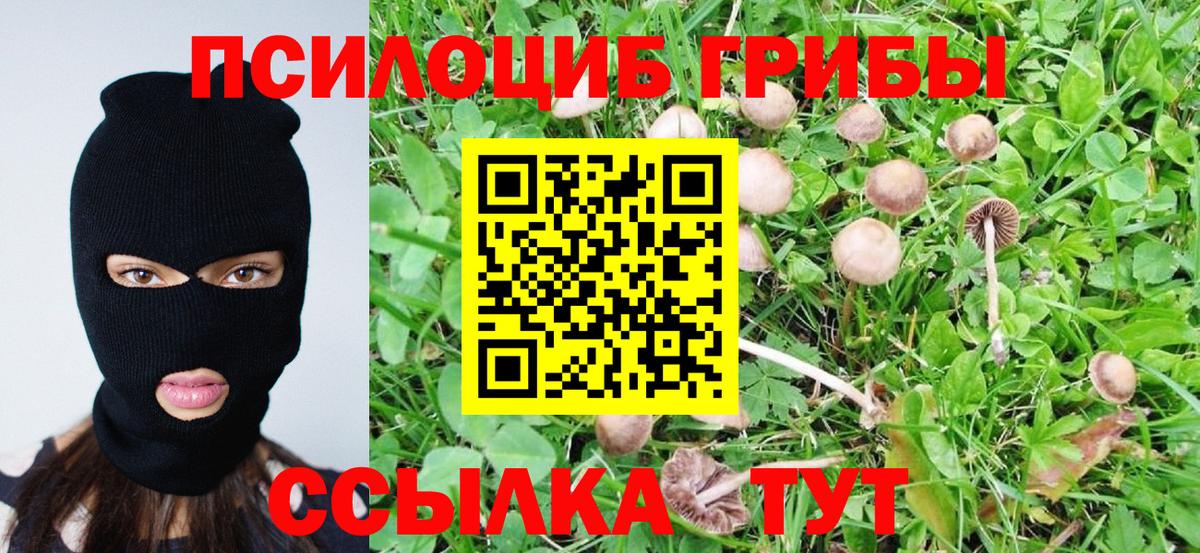Галлюциногенные грибы прущие грибы Вязьма